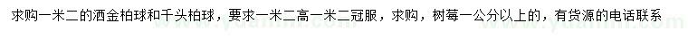 求购洒金柏球、千头柏球、树莓