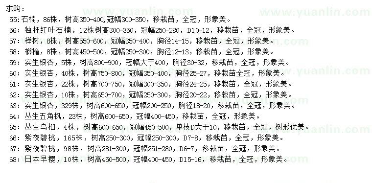 求购石楠、独杆红叶石楠、榉树等