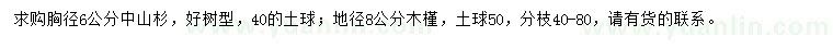 求购胸径6公分中山杉、地径8公分木槿