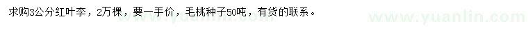 求购3公分红叶李、毛桃种子