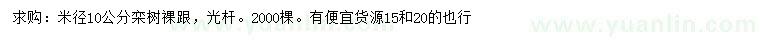 求购米径10公分栾树