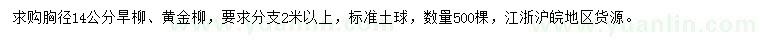 求购胸径14公分旱柳、黄金柳