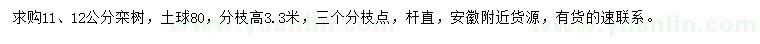 求购11、12公分栾树