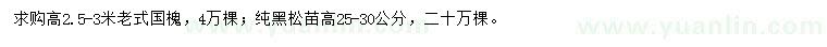 求购高2.5-3米老式国槐、高25-30公分黑松