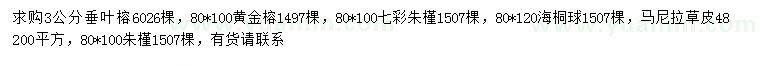 求购垂叶榕、黄金榕、七彩朱槿等