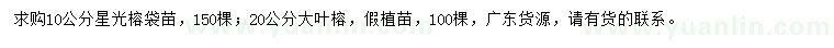 求购10公分星光榕、20公分大叶榕