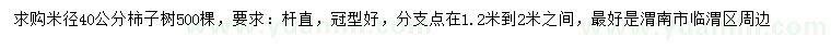 求购米径40公分柿子树