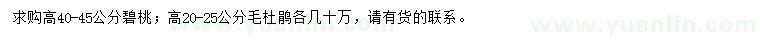 求购高40-45公分碧桃、高20-25公分毛杜鹃