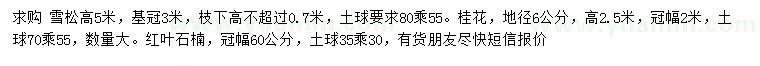 求购雪松、桂花、红叶石楠 