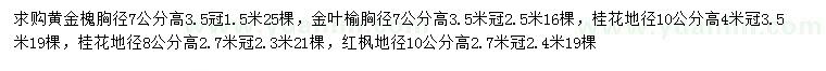 求购黄金槐、金叶榆、桂花等