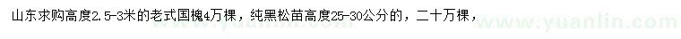 求购高2.5-3米老式国槐  、高25-30公分纯黑松苗