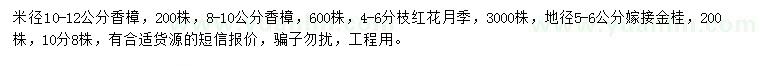 求购香樟、红花月季、金桂