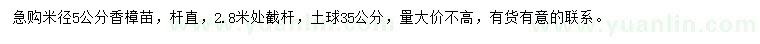 求购米径5公分香樟苗