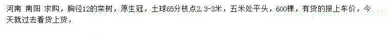 求购胸径12公分栾树