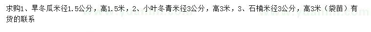 求购旱冬瓜、小叶冬青、石楠