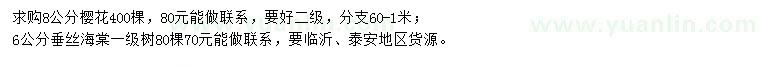 求购8公分樱花、6公分垂丝海棠