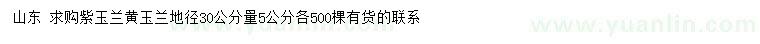 求购30量5公分紫玉兰、黄玉兰