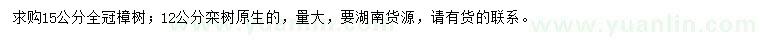 求购15公分樟树、12公分栾树