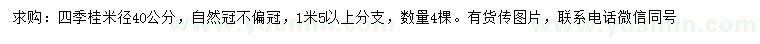 求购米径40公分四季桂