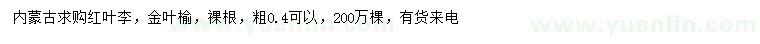 求购0.4公分红叶李、金叶榆