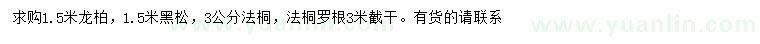 求购龙柏、黑松、法桐