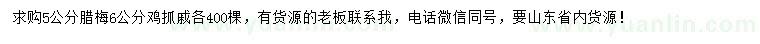 求购5公分腊梅、6公分鸡抓戚