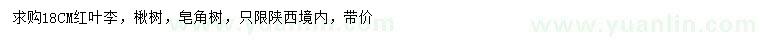 求购红叶李、楸树、皂角树