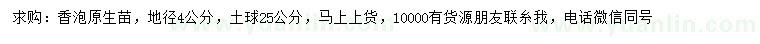 求购地径4公分香泡原生苗