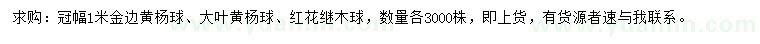 求购金边黄杨球、大叶黄杨球、红花继木球