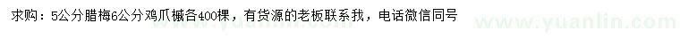 求购5公分腊梅、6公分鸡爪槭