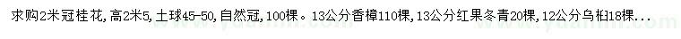 求购桂花、香樟、红果冬青等