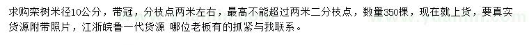 求购米径10公分栾树