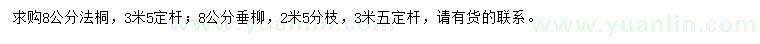 求购8公分法桐、垂柳