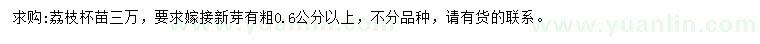 求购粗0.6公分以上荔枝苗