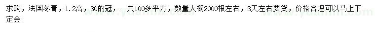 求购高1.2米法国冬青