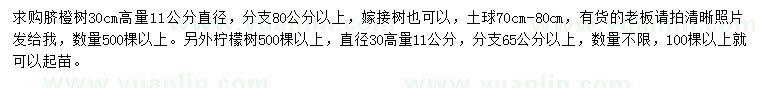 求购30公分量直径11公分脐橙树、柠檬树