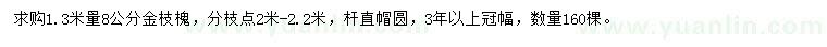 求购1.3米量8公分金枝槐