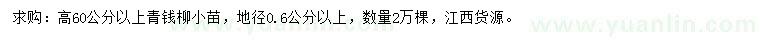 求购高60公分以上青钱柳小苗