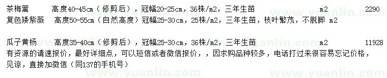 求购茶梅篱、复色矮紫薇、瓜子黄杨