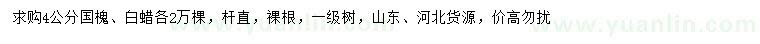 求购4公分国槐、白蜡