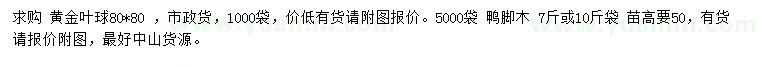 求购80公分黄金叶球、50公分鸭脚木