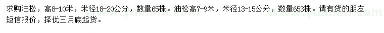 求购高8-10、7-9米油松