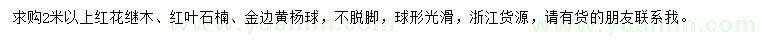 求购红花继木、红叶石楠、金边黄杨球