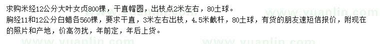 求购米径12公分大叶女贞、胸径11、12公分白蜡