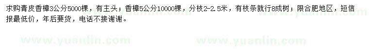 求购3公分青皮香樟、5公分香樟