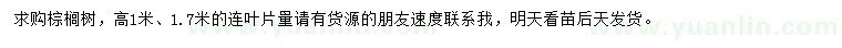 求购高1、1.7米棕榈树