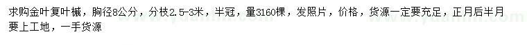 求购胸径8公分金叶复叶槭