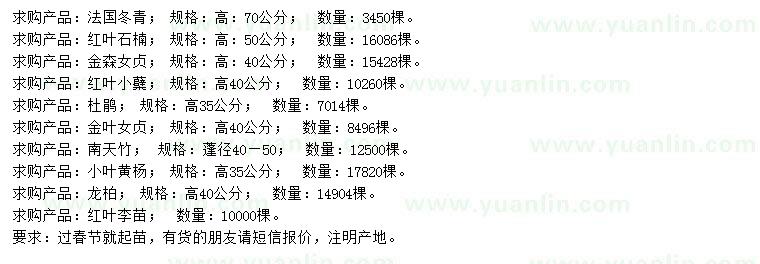求购法国冬青、红叶石楠、金森女贞等小苗