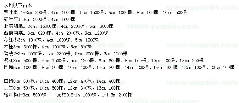 求购紫叶李、北美海棠、冬红枣等