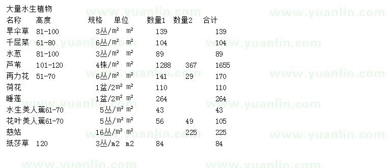 求购旱伞草、千屈菜、水葱等